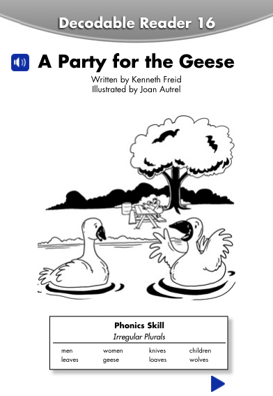 G3_DR_16 A Party for the Geese